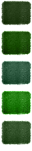 Green Lawn Paints