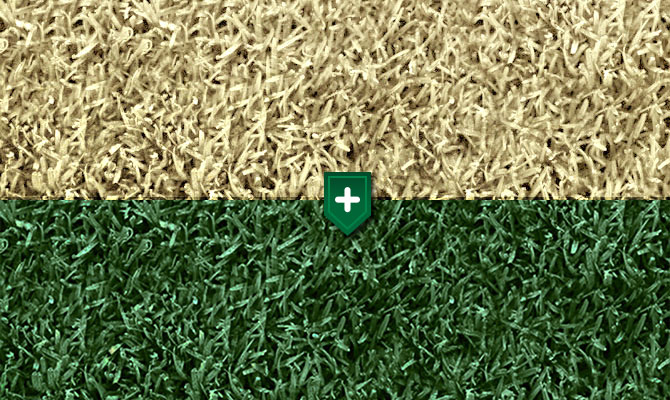 Green Lawn Paints