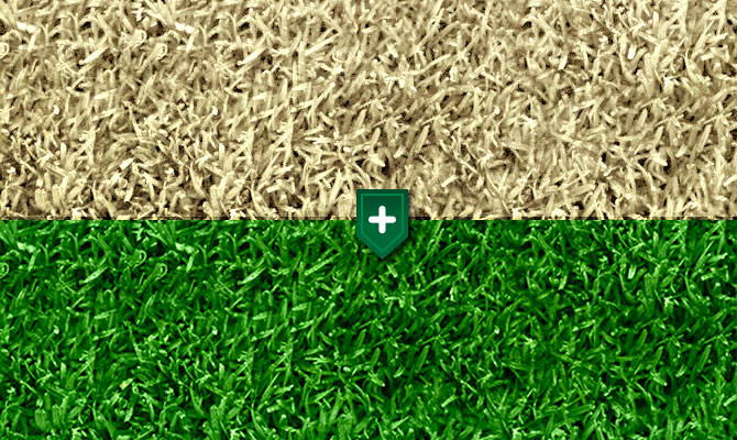 Green Lawn Paints
