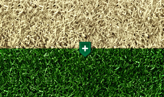 Green Lawn Paints