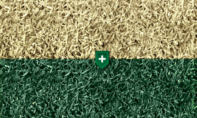 Green Lawn Paints